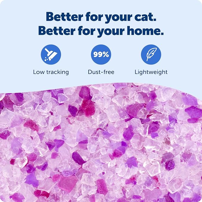 PetSafe ScoopFree Premium Crystal Cat Litter - Outperforms Clay Litter - Refill Packs - Reusable Tray Compatible - Lavender Scent - 4.3 lb Bags - 2 Pack