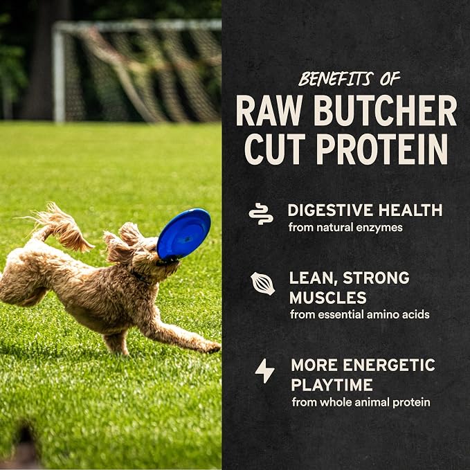 Vital Essentials Freeze Dried Dog Treats | Beef Liver, Single Ingredient | Premium Quality | Grain Free Training Treats for Dogs, 5.5 oz Bag