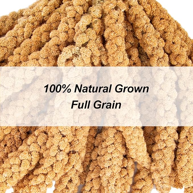 Amzey 5.5LB Spray Millet for Parakeets, 100% Natural Sun-Dried Healthy Bird Treat, Non-GMO High Protein Fresh Millet Spray for Parrots, Cockatiel, Finches & Lovebirds