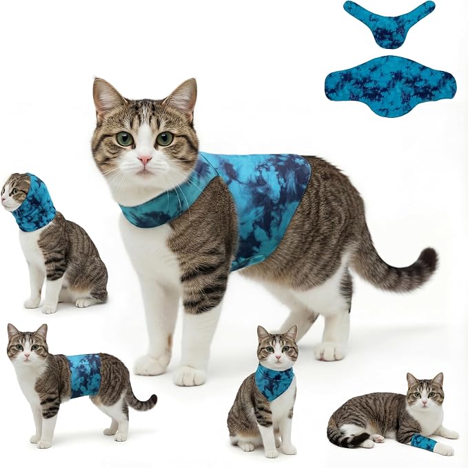 DAJIDALI® Dog & Cat Anxiety Vest & Spay Recovery Suit – Silent Adjustable Calming Wrap for Surgery & Thunderstorms – 2-Piece Cone & Recovery Onesie Alternative