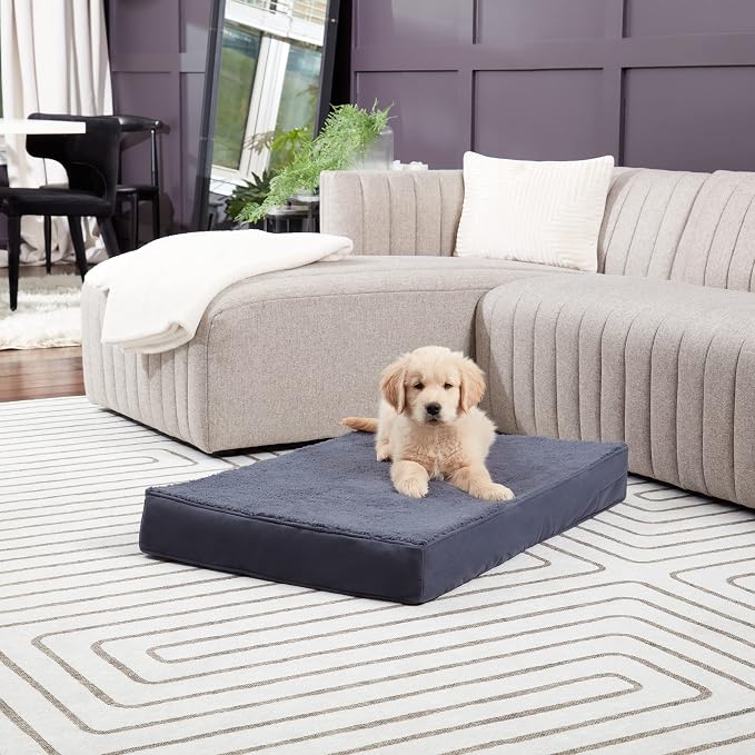 Happy Hounds Oscar Rectangle Orthopedic Foam Sherpa Dog Bed, Small (36 x 24 in.), Prussian Blue
