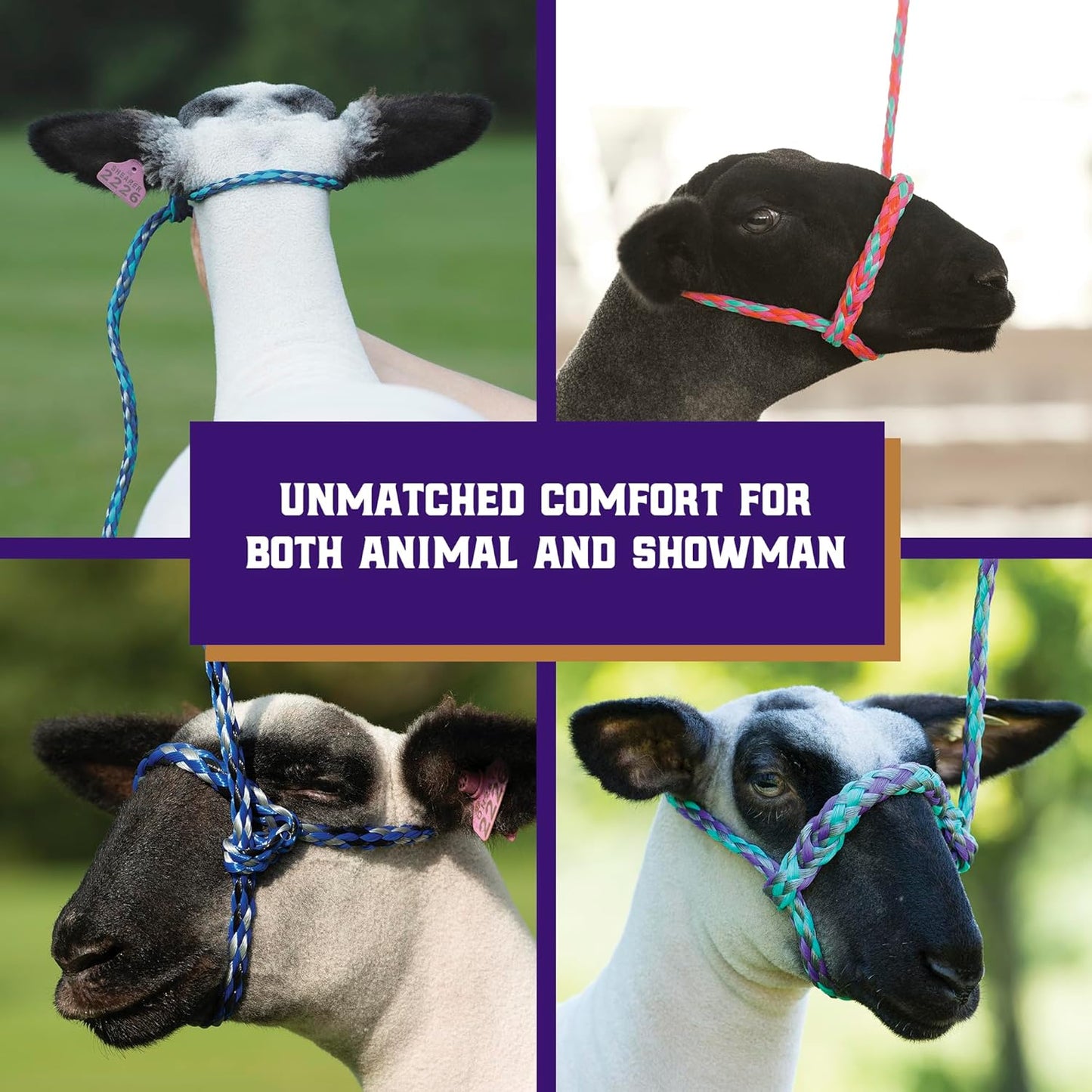 Weaver Leather Poly Rope Sheep Halter, Mint/Black/Gray