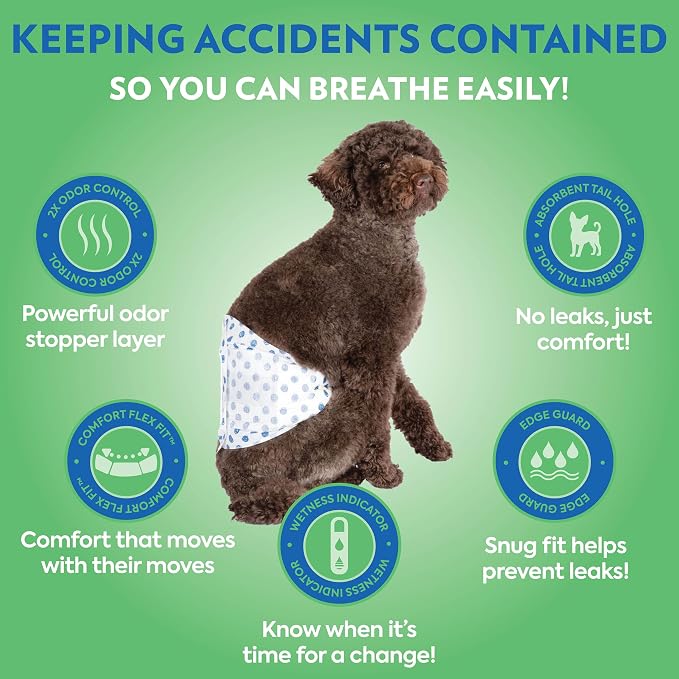 Out! PetCare Disposable Dog Diapers Male, Puppy Belly Band, Potty Training, Doggie Diapers, Belly Bands for Male Dogs, Puppy Training, Adjustable Fasteners, Incontinence, (M/L, 96ct)