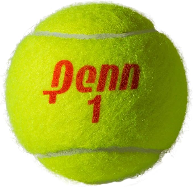 Penn Championship Tennis Balls - Regular Duty