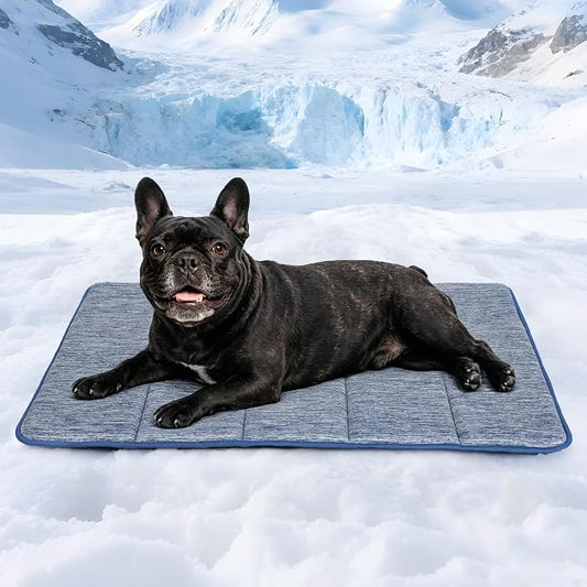 Dog Cooling Mat for Large Dogs – 30"x20" Orthopedic Memory Foam Pad for Summer, Hot Weather & Joint Relief | Washable, Non-Slip Crate Mat for Senior Dogs, Travel & Home (Wander Blue)