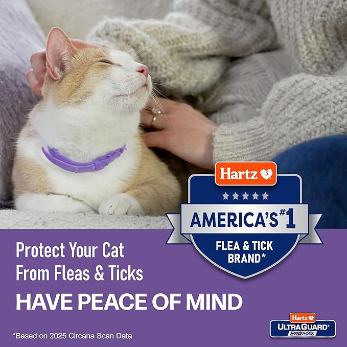 Hartz UltraGuard ProMax Flea & Tick Collar for Cats & Kittens I 14 Months Protection I Soft & Comfortable | Kills Fleas, Ticks, and Larvae I 2 Pack