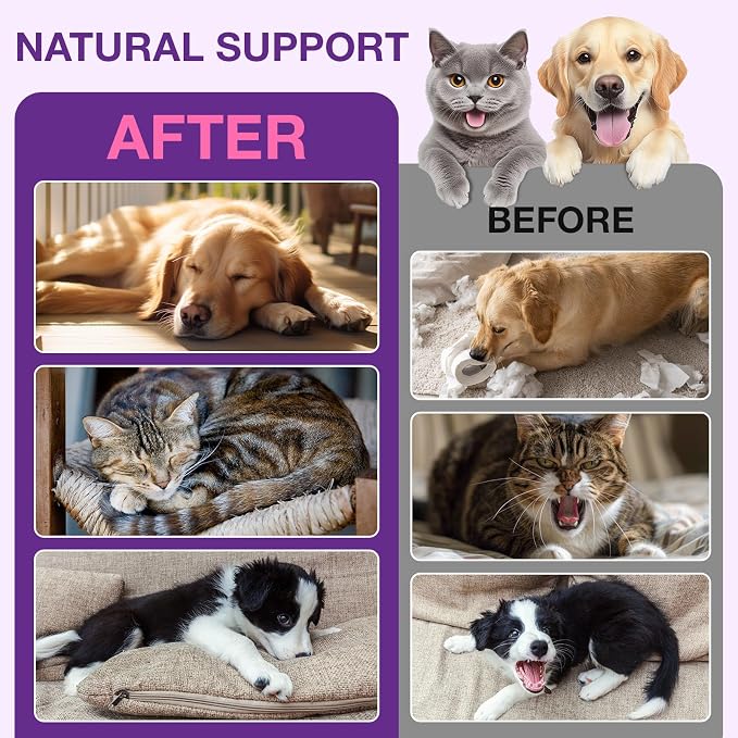 Liquid Melatonin for Dogs & Cats, 60ml Dog Melatonin Calming Drops with L-Theanine, Cat Calming Dog Sleep Aid Support Anxiety Relief for Travel, Separation, Barking, Fireworks (60ml (Pack of 2)