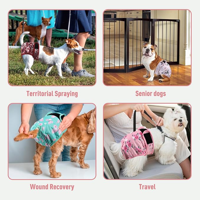 Washable Reusable Female Dog Diapers(5 Pack) Small Medium Large Doggie Puppy & Doggy Dog Diaper, Period Panties in Heat Medium Butterflies and Dragonflies