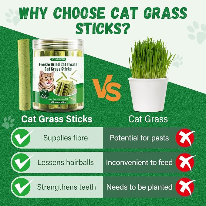 Cat Grass Teething Stick, 100g / 3.52oz Natural Cat Grass Treats for Indoor Cats, Cat Chew Stick for Hairball Cleaning, Appetite Boosting & Dental Health, Edible Cat Toys