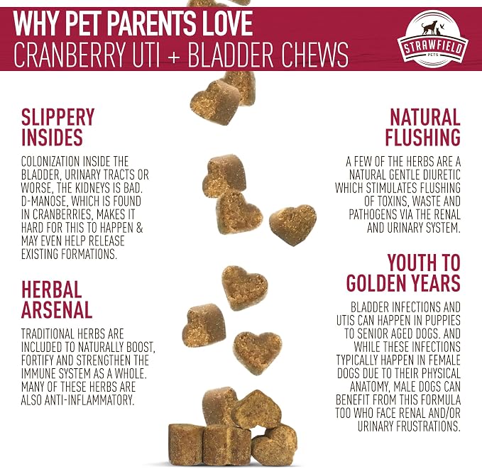 Strawfield Pets Cranberry Bladder & UTI Chews for Dogs D-Mannose + Vitamin C for Urinary Tract Support Bacon Flavored Soft Chews 120 softchews