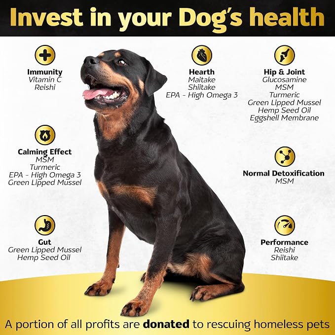 Premium Hip and Joint Supplement for Dogs, Glucosamine for Dogs with Chondroitin, MSM, Turmeric & Omega 3, Daily Dog Joint Supplement Soft Chews, Bacon, 30 Count