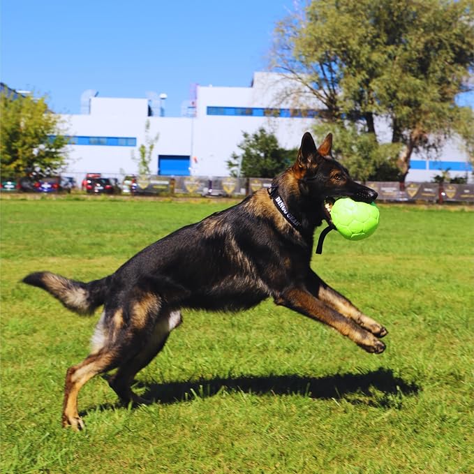 DINGO GEAR WWW.DINGOGEAR.COM 1977 Faux Leather Ball for Dog Training, as Reward for Fetch tug of war, for Strong Dog, Handmade, 7in Green S02699