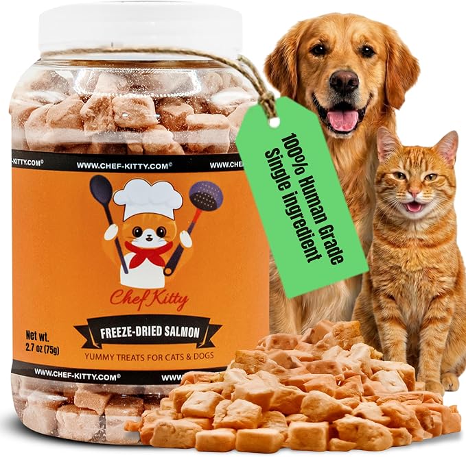 Freeze-Dried Salmon Treats for Cats & Dogs – 100% Wild Caught, Single Ingredient, High-Protein, Healthy Snack – No Additives or Preservatives – 2.7 oz - Inspected & Tested in USA