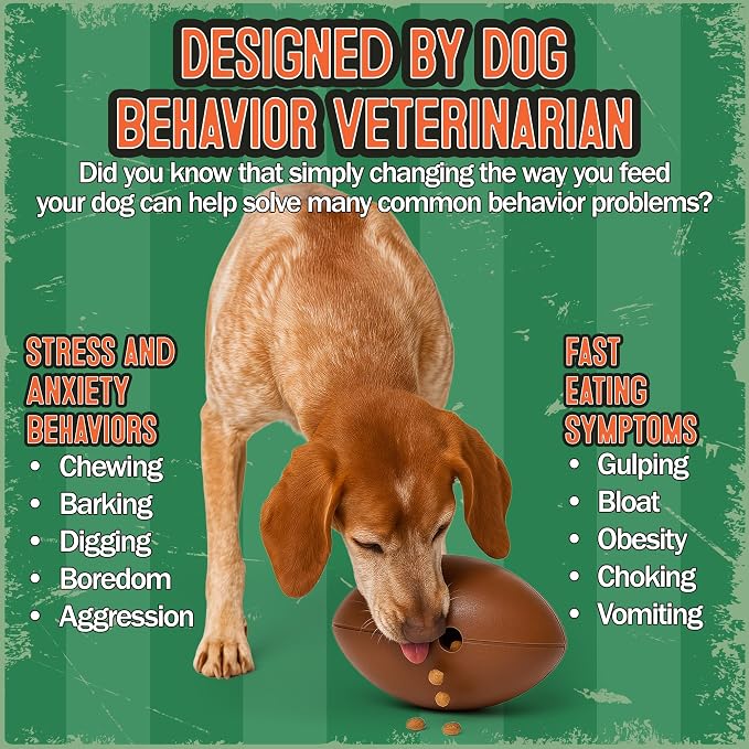 Food Puzzle Feeder for Large or Medium Dogs, 5C | Mentally Stimulating Enrichment Toy, Made in USA, BPA-Free Durable Foraging Toy, Reduces Anxiety and Destructive Behavior