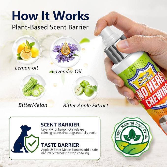 Bitter Apple Spray for Dogs - Dog No Chew Spray to Stop Chewing & Gnawing - Natural Anti‑Chew Training Aid for Puppies - Safe for Furniture, Shoes & Plants - Indoor & Outdoor Behavior Corrector