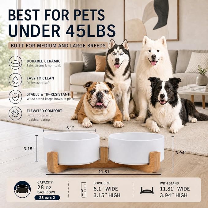 Petygooing Dog Bowls,White Ceramic Cat and Dog Bowl Set with Wood Stand for Food and Water, Non-Slip Cute Modern Pet Dish Set for Cats & Medium Dogs (28OZ)