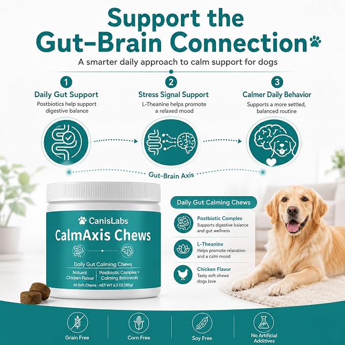 Calmaxis Postbiotic Chews, Calming Chews for Dogs, Daily Gut Support with Postbiotics + L-Theanine for Puppies Small All Dogs, Reduce Stress and Anxiety, Chicken Flavor, 60 Soft Chews