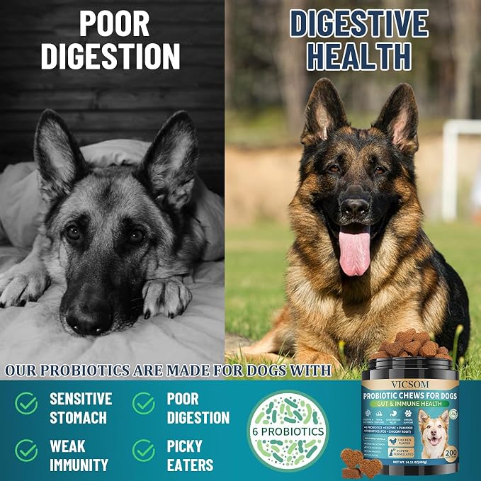 Dog Probiotics Chews + No Chew Spray for Dogs – Digestive & Behavior Support Bundle, Natural Gut Health Soft Chews with Probiotics & Enzymes and Bitter Apple Spray to Stop Chewing, Indoor & Outdoor Ca