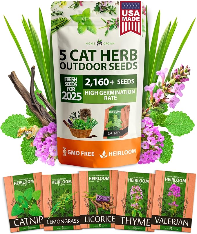 Cat Grass & Catnip Garden Kit – 1 lb Non-GMO USA Wheatgrass + 2,160 Cat Plant Seeds Mix (Catnip, Lemongrass, Licorice, Thyme, Valerian) + 2,116 Catnip Seeds – Pet-Friendly Indoor Garden for Cats