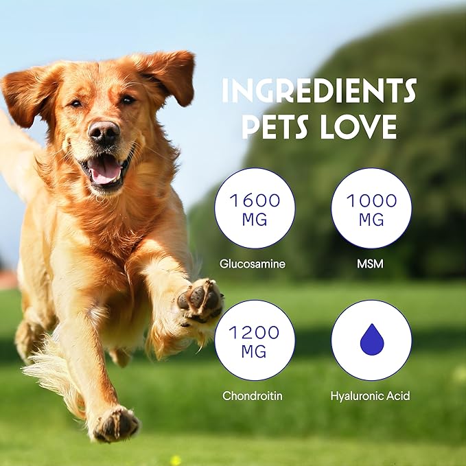 WONDER PAWS Liquid Glucosamine Superhero Drops Plus Omega Max Fish Oil - for Dog's Mobility, Skin and Joint Care & Immune Support – Liquid Glucosamine 16 Ounces - Omega Max 16 Ounces