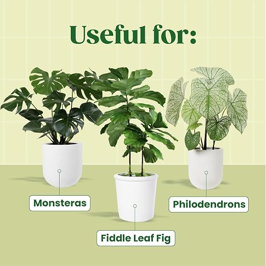 Root Rot Repair & Plant Transplant Shock Recovery – Liquid Supplement for Indoor Plants, Fiddle Leaf Fig, Monstera & Pothos | Heals Roots, Prevents Brown Spots & Leaf Drop, 8 oz – Vital Root+