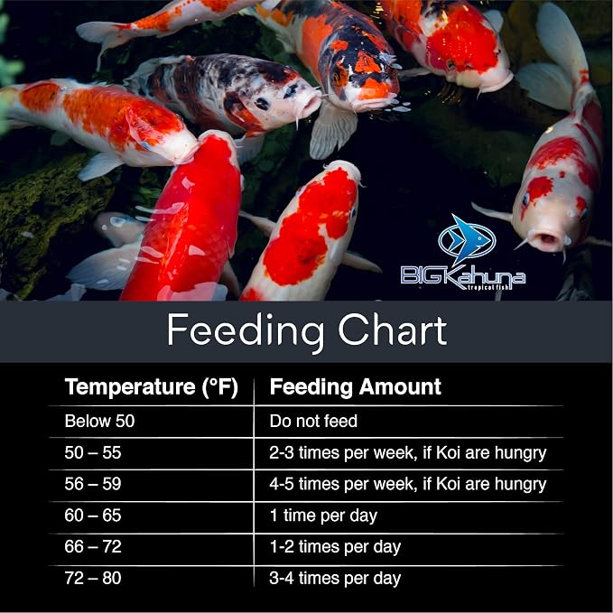 Big Kahuna Koi Fish Food for Ponds 20lbs - Koi Food for Pond Fish Food Pellets – 3/16-1/4 Floating Pond Pellet