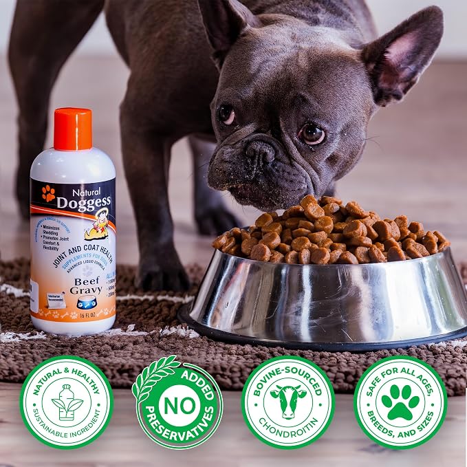 Dressing Best Hip and Joint Supplement for Dogs, Glucosamine & Chondroitin/Joint Health/Salmon Oil for Dogs Skin and Coat Health, Delicious Beef Gravy Flavor - 16 Oz Pack of 1
