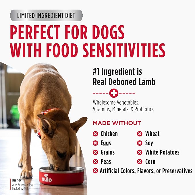 Nulo Freestyle Limited Ingredient Dry Dog Food - High Protein Lamb Recipe, Natural Grain Free Dog Food for Puppies & Adults, Small, Medium and Large Breed Kibble, 5.5lb Bag