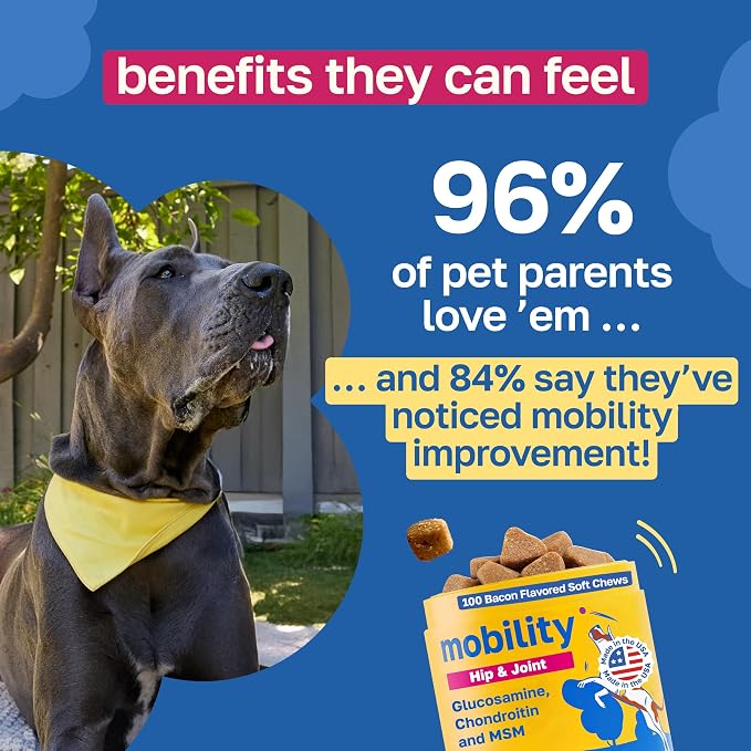 Happy Paws Hip and Joint Supplement for Dogs, Glucosamine Chondroitin for Dogs of All Breeds, Joint Support Soft Chews with Hyaluronic Acid & Turmeric, Vegan Bacon Flavor, Non GMO, 200 Soft Chews
