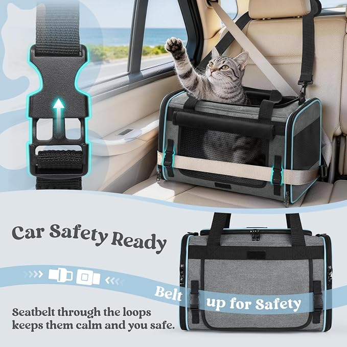 rabbitgoo Cat Carrier Soft, Pet Bag with Rollable Flap for Anxious Kittens, Travel Safe for Car Airline, Collapsible Portable Carrying for Small to Medium Cats, Grey, 17" L x 11" W x 11" H