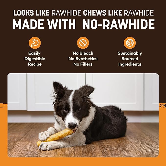 Earth Animal No Hide Chews - Long Lasting Rawhide Free Medium Dog Chews Rolls, Chicken - 3 Count Value Pack