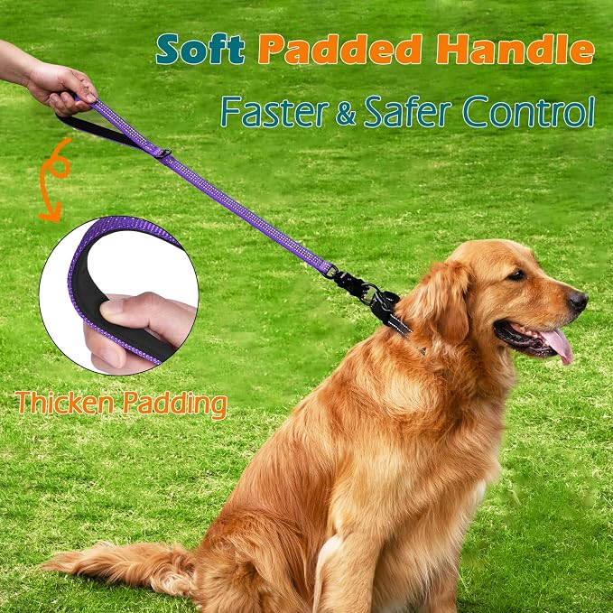 PetBonus Heavy Duty 24 Inch Short Dog Leash and 2-Pack Silicone Collapsible Dog Bowls