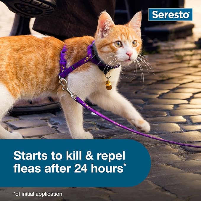 Seresto Cat Vet-Recommended Flea & Tick Treatment & Prevention Collar for Cats | 8 Months (Pack of 2)