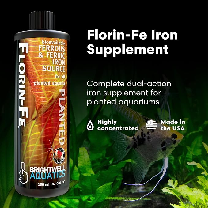 Brightwell Aquatics Florin-Fe Iron Supplement for Planted Aquariums – Dual-Action Iron Source for Plant Growth, Chlorophyll & Vibrant Foliage – Daily Dosing, 2L