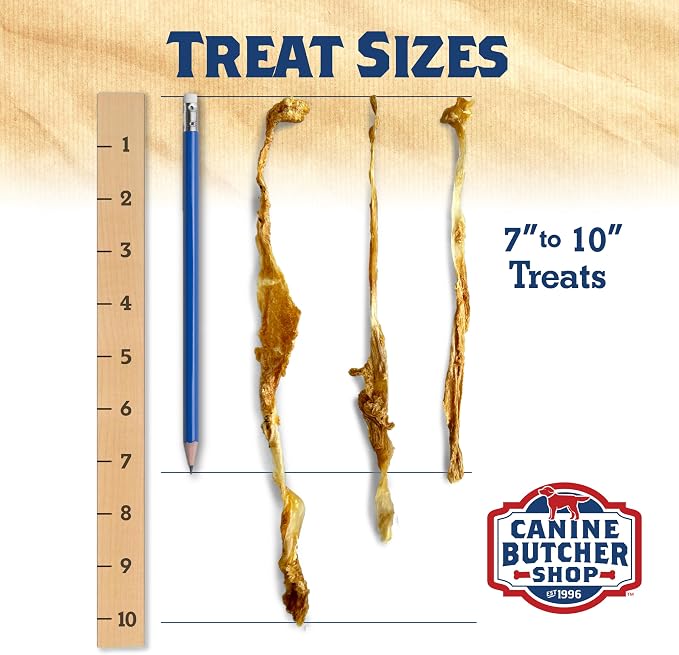 Turkey Tendons for Dogs Made and Raised in USA, All-Natural Chews for Small and Large Breeds, Single-Ingredient Treat, Healthy No Hide Dog Chews (3 oz)