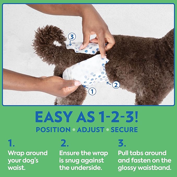 Out! PetCare Disposable Dog Diapers Male, Puppy Belly Band, Potty Training, Doggie Diapers, Belly Bands for Male Dogs, Puppy Training, Adjustable Fasteners, Incontinence, (M/L, 96ct)