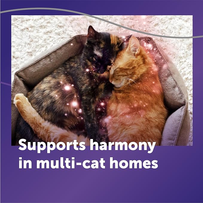 FELIWAY Optimum Cat Calming Diffuser Kit and 1 Pack Refill – Advanced Support to Help Reduce Urine Spraying, Scratching, Fighting and Hiding Due to Stress – All in One Cat Pheromone Plug in Diffuser