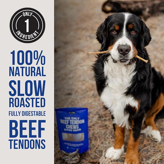 Natural Rapport Beef Tendon Dog Chews - Single Ingredient, Long Lasting, Promotes Dental Health & Joint Support (10 Count Value Pack)