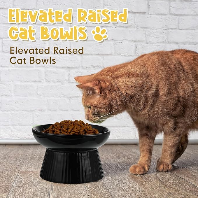 Tioncy 2 Pcs Raised Cat Slow Feeder Bowl Ceramic Elevated Cat Dog Food Bowl No Spill High Edge for Dry Wet Food and Water Easy to Clean, Dishwasher Safe (Black,White)