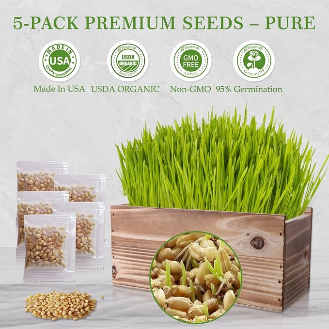 Cat Grass for Indoor Cats – x5 Seed Packets | Cat Grass Seeds with Wooden Planter, Soil & Mini Gardening Tools for Nipping– Pet Wheatgrass Grass, Gifts for Cat Lovers