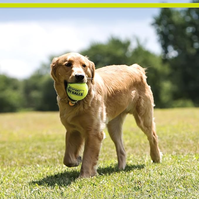 PetSport Tuff Ball - Medium Tennis Balls for Dogs, Chew Toy for Aggressive Chewers, Fetching, Natural Rubber, Certified Non-Toxic, Won't Wear Down Teeth - 2.5" (12 Pack)