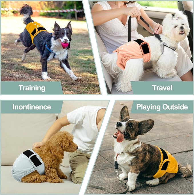 Female Dog Diapers - Premium Reusable Diapers for Doggie in Heat - Highly Absorbent Dog Diapers Female for Pet Incontinence with Adjustable Snaps Yellow, XL