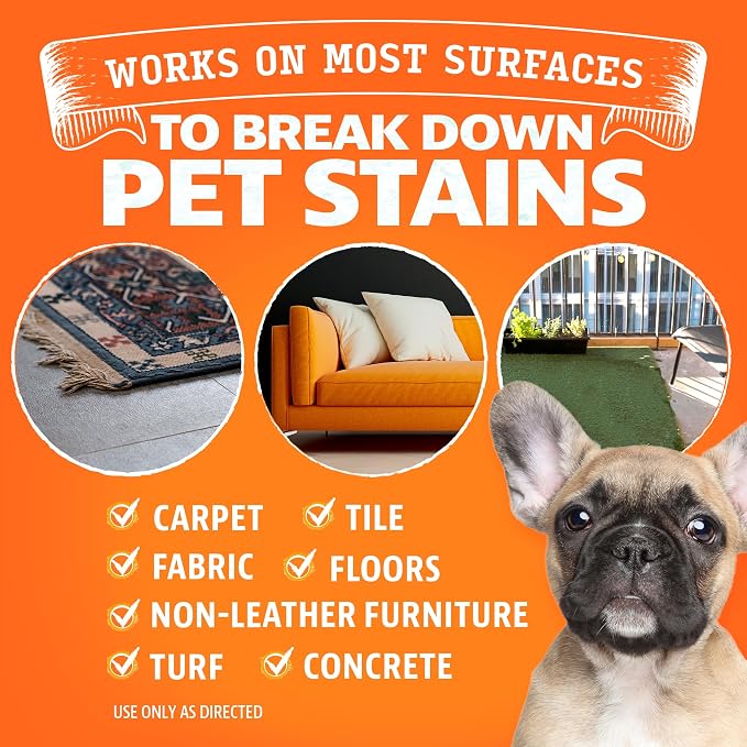 ANGRY ORANGE Pet Stain & Odor Remover for Dog Urine and Stains - Enzyme Pet Odor Eliminator for Home - Citrus - Value 2 pack