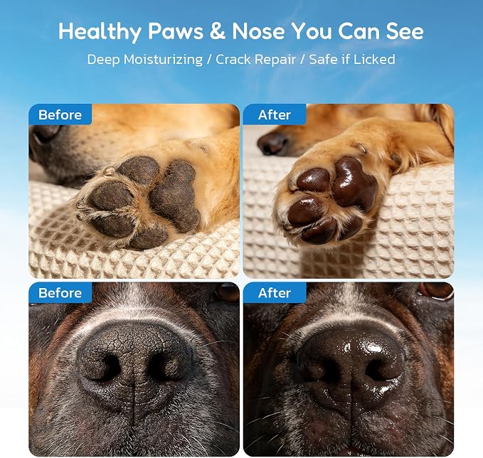 Lick Safe Dog Paw & Nose Balm - All Natural Moisturizing Wax with Coconut Oil & Shea Butter, Soothes Dry Cracked Paws & Snout, Heat & Cold Pavement Protection, 4.23 Oz Nose Butter