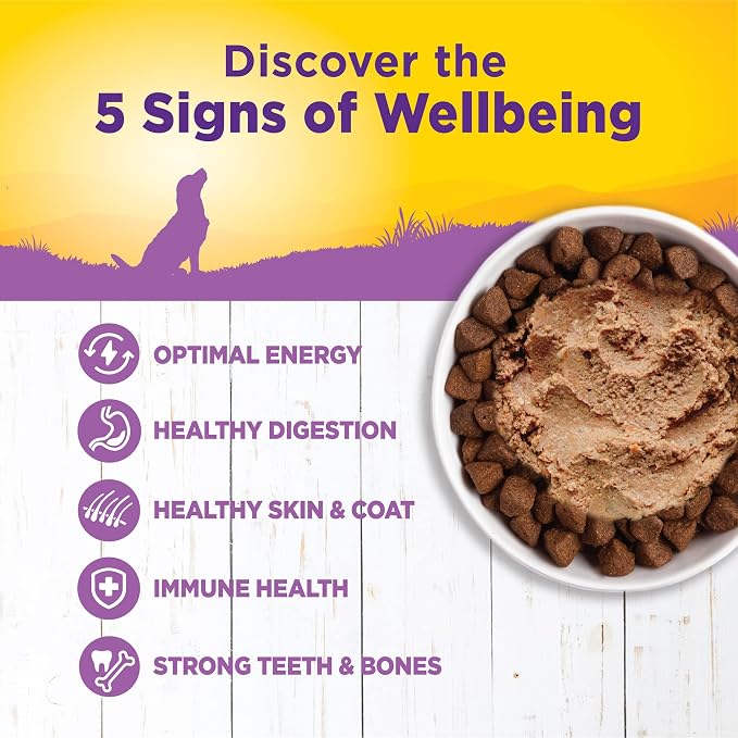 Wellness Complete Health Pate Age Advantage Senior Canned Wet Dog Food, Wholesome Grains, Natural, Chicken and Sweet Potato, 12.5 oz, Pack of 12 Cans
