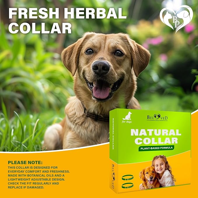Beloved Pets Plant-Based Dog Collar, 6 Month Wear, 2 Count, Adjustable Collar for Dogs with Botanical Oils, Everyday Skin & Coat Comfort (1 Pack, 2 Count)