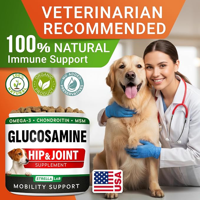 Glucosamine for Large Dogs - Joint Supplement Large Breed w/Omega-3 Fish Oil - Chondroitin, MSM - Advanced Mobility Chews - Joint Pain Relief - Hip & Joint Care - Chicken Flavor - 240Ct - Made in USA