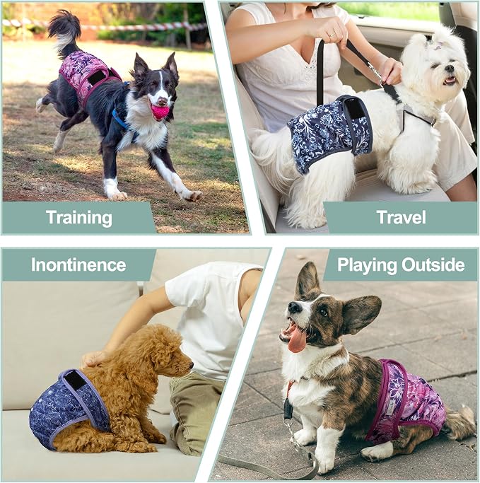 Female Dog Diapers - Premium Reusable Diapers for Doggie in Heat - Highly Absorbent for Pet Incontinence with Adjustable Snaps Butterfly, M
