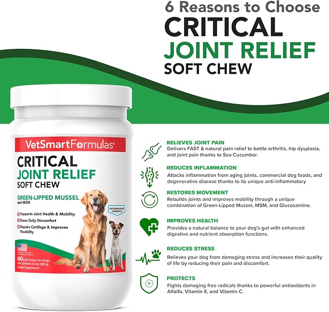 VetSmart Formulas Critical Joint Relief Soft Chew for Dogs – Hip & Joint Supplement with Glucosamine, MSM, Green-Lipped Mussel – Joint Discomfort, Hip Dysplasia & Mobility Support, Made in USA