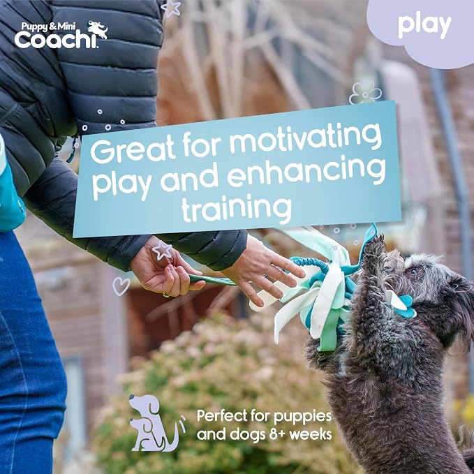 Coachi Puppy & Mini Tuggi Spider - Great for Tug & Play, Strong Dog Toy, Stretchy Bungee Handle, Reward Training, Recall, Agility, Interrupt Biting & Chewing. Suitable for Small Dogs & Puppies